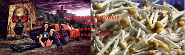 кокс Нефтегорск