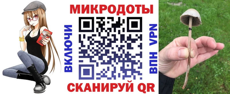 Галлюциногенные грибы Psilocybe  Шагонар 