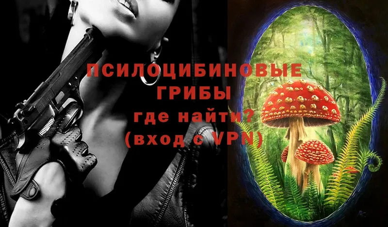 Псилоцибиновые грибы Psilocybe  Шагонар 