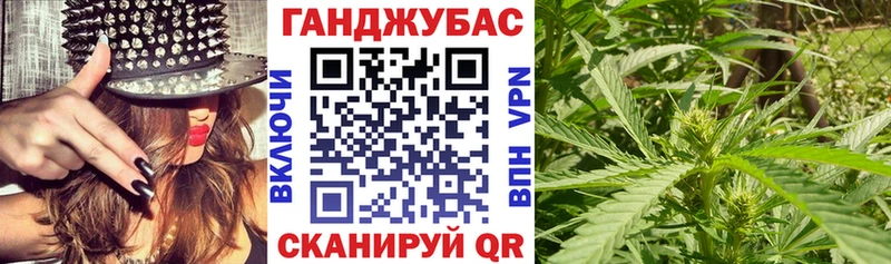Конопля сатива  Шагонар 